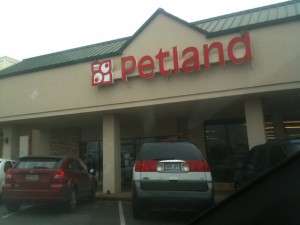 Petland in Tyler Texas