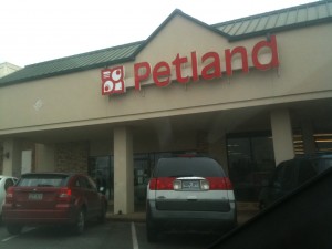 Petland in Tyler Texas Petland in Tyler Texas