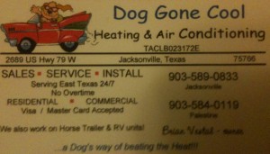 Dog Gone Cool Dog Gone Cool