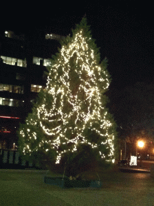 Christmas Tree in Tyler Texas