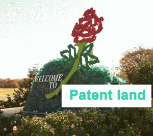 Patent Land