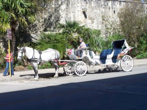 texas horse carriage
